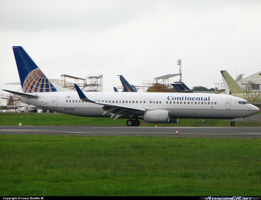 N77295 - Boeing 737-800 - Continental Airlines