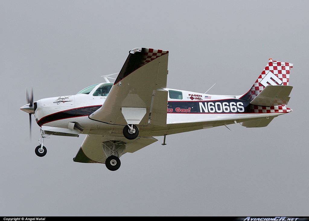 N6066S - Beech A36 Bonanza - Greg Poe Airshows