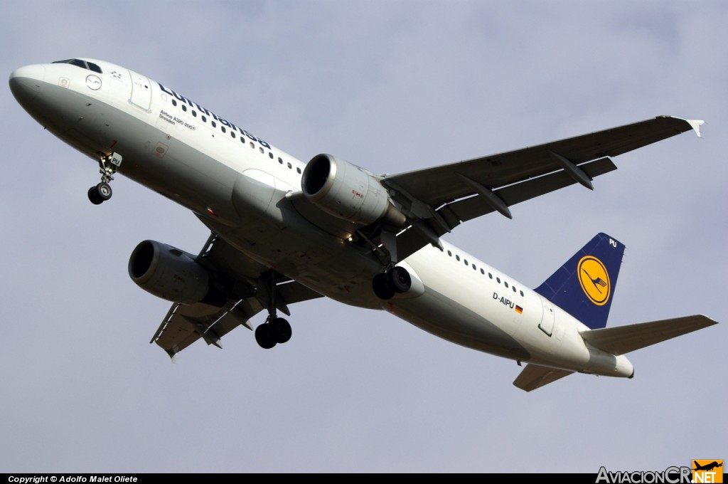 D-AIPU - Airbus A320-211 - Lufthansa