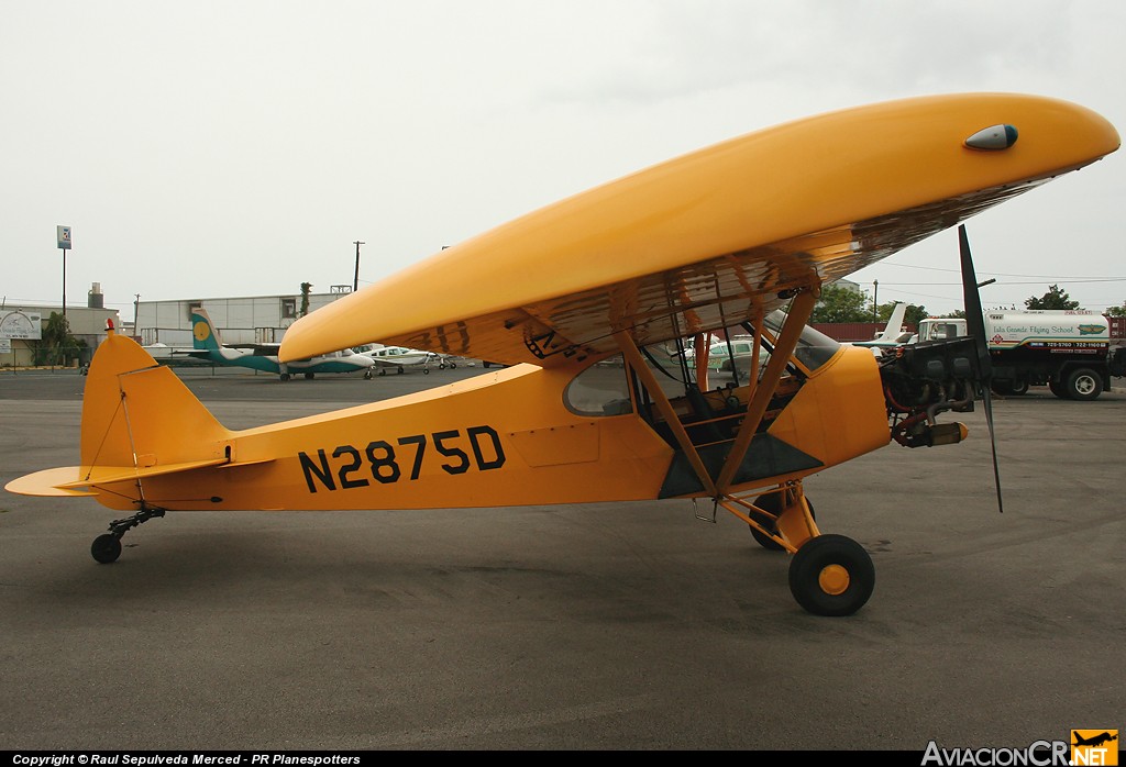 N2875D - Piper PA-18-135 Super Cub - Aerial Sign of Puerto Rico