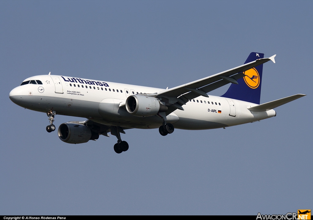 D-AIPL - Airbus A320-211 - Lufthansa