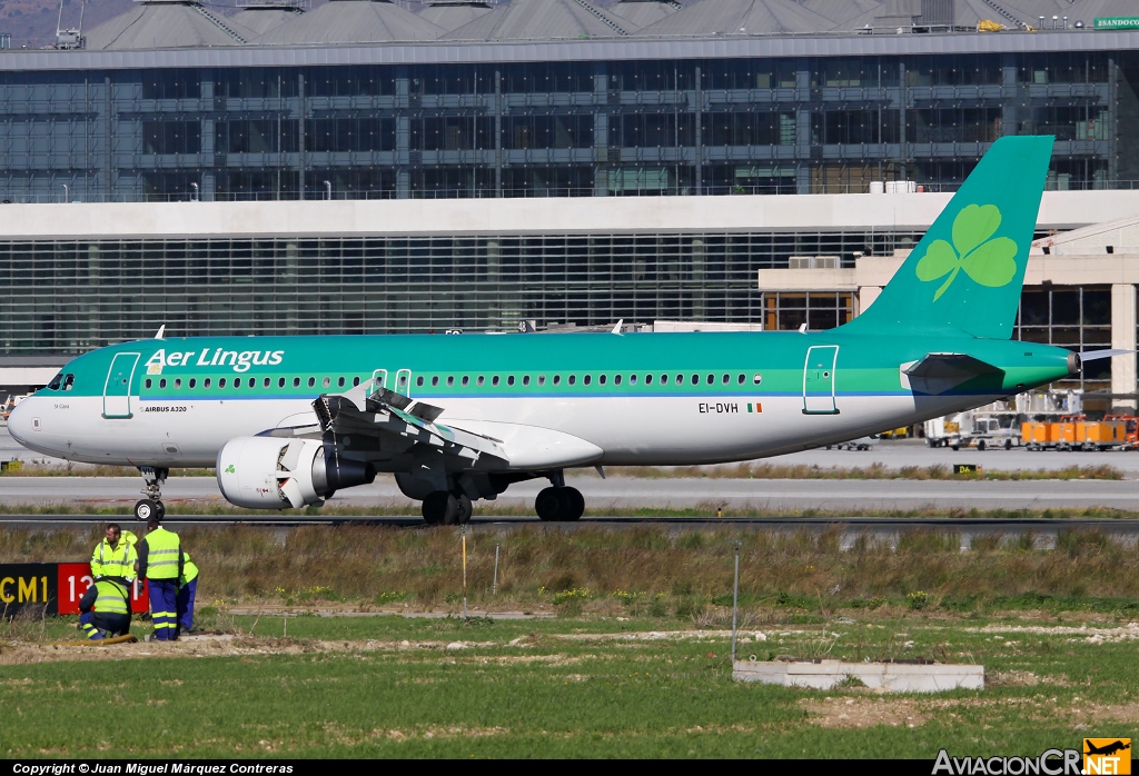 EI-DVH - Airbus A320-214 - Aer Lingus