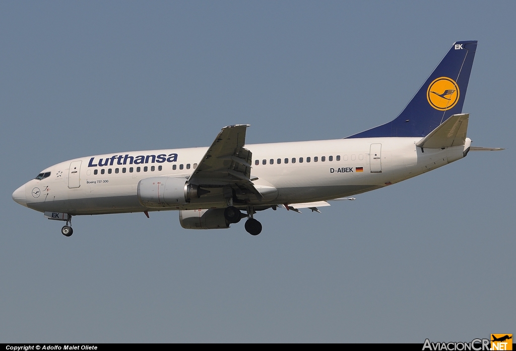 D-ABEK - Boeing 737-330 - Lufthansa