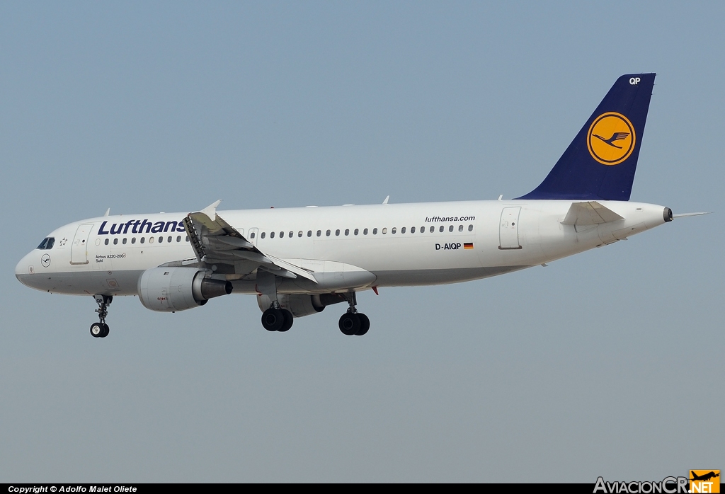 D-AIQP - Airbus A320-211 - Lufthansa