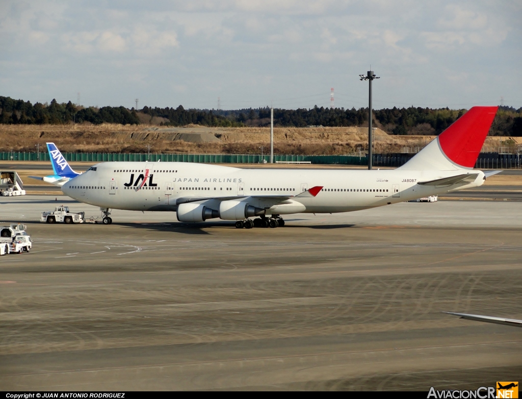 JA-8446 - Boeing 747-446 - Japan Airlines - JAL