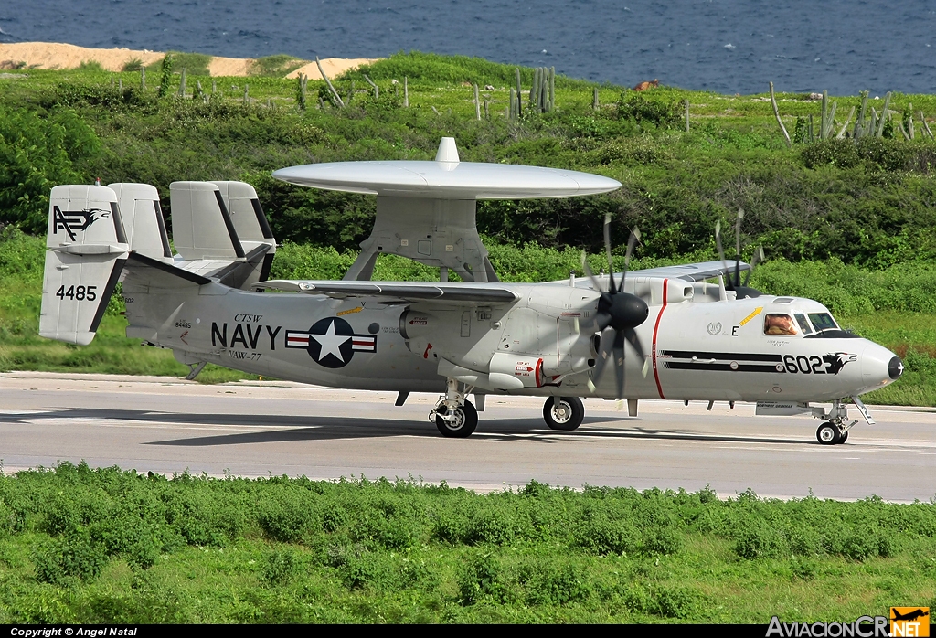 164485 - Grumman E-2  Hawkeye 2000 - USA - Marina/NAVY