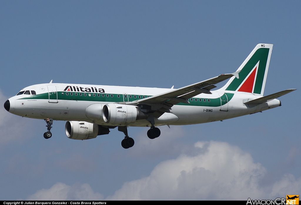 I-BIMG - Airbus A319-112 - Alitalia