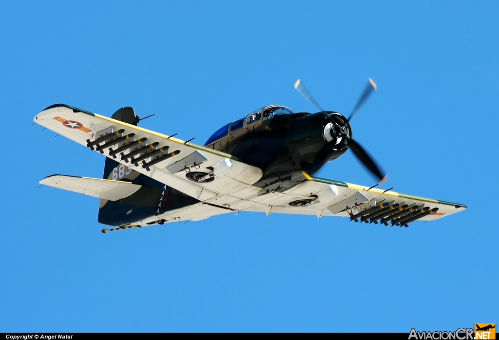 N39147 - Douglas A-1E Skyraider - Privado