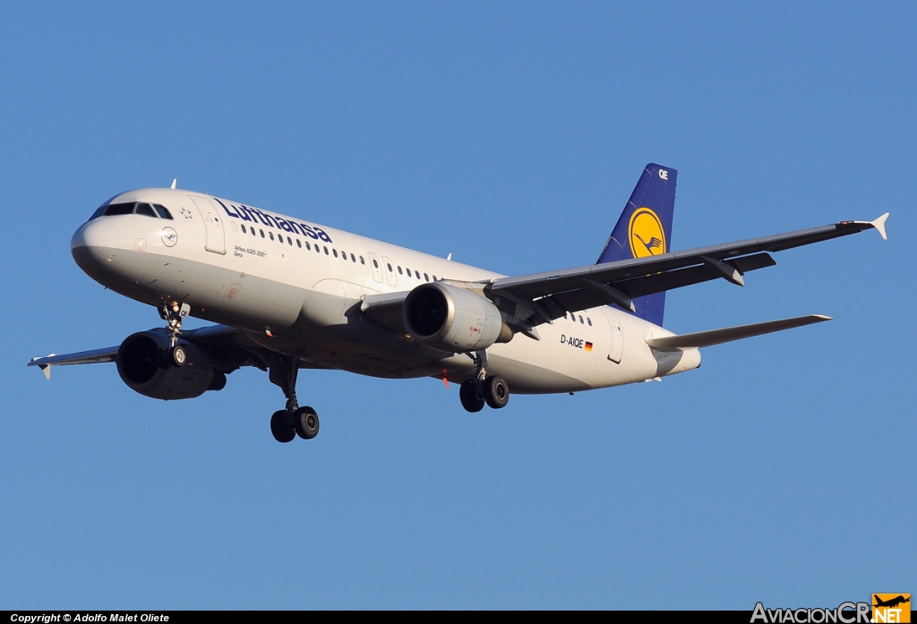 D-AIQE - Airbus A320-211 - Lufthansa