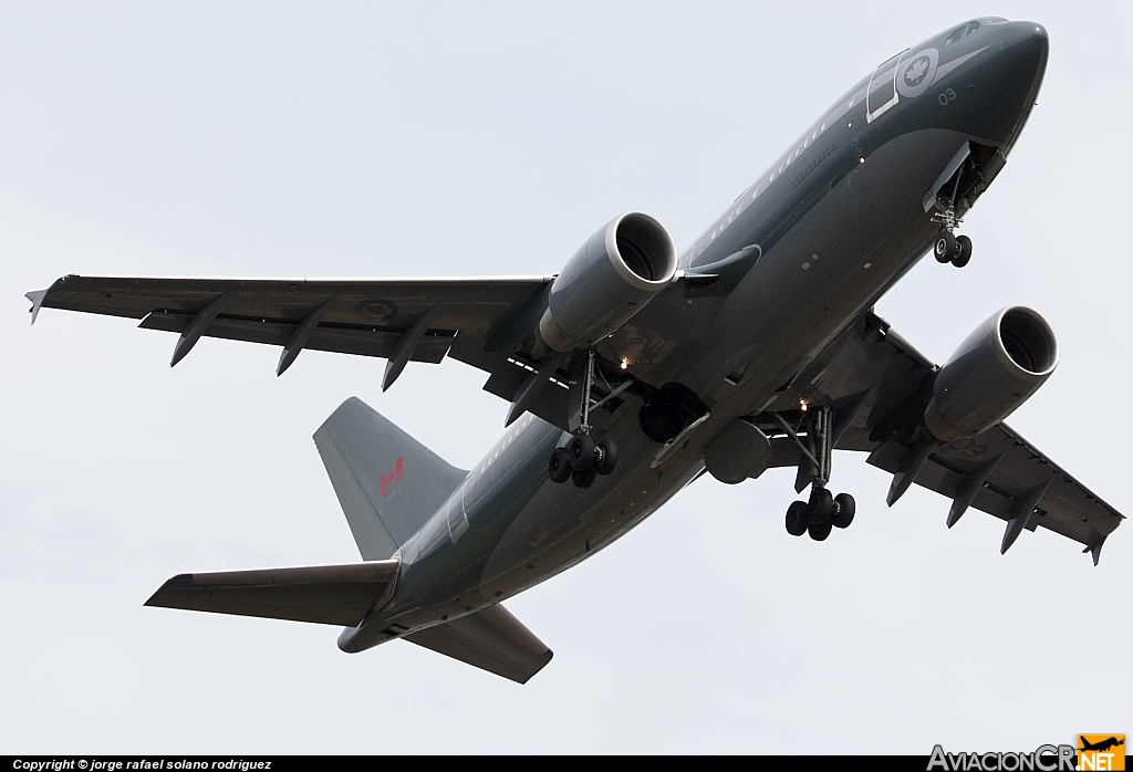 15003 - Airbus A310-304(F) - Fuerza Aérea Canadiense