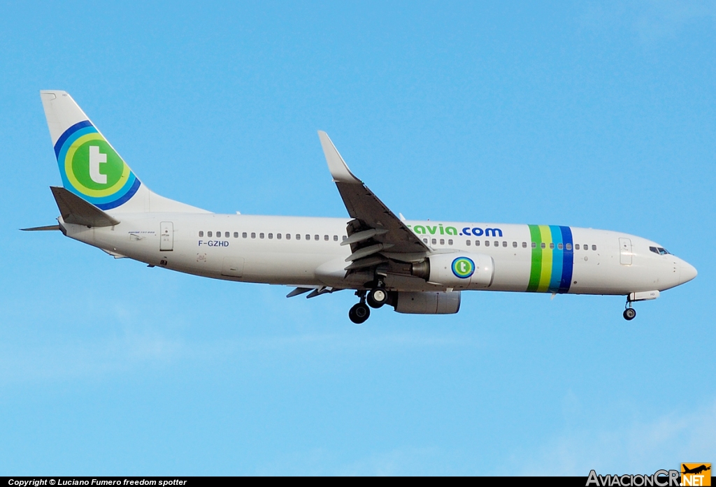 F-GZHD - Boeing 737-8K2 - Transavia France