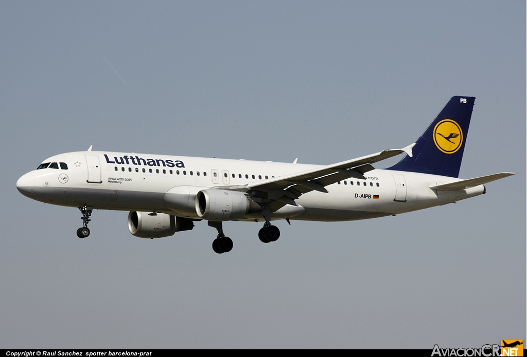 D-AIPB - Airbus A320-211 - Lufthansa