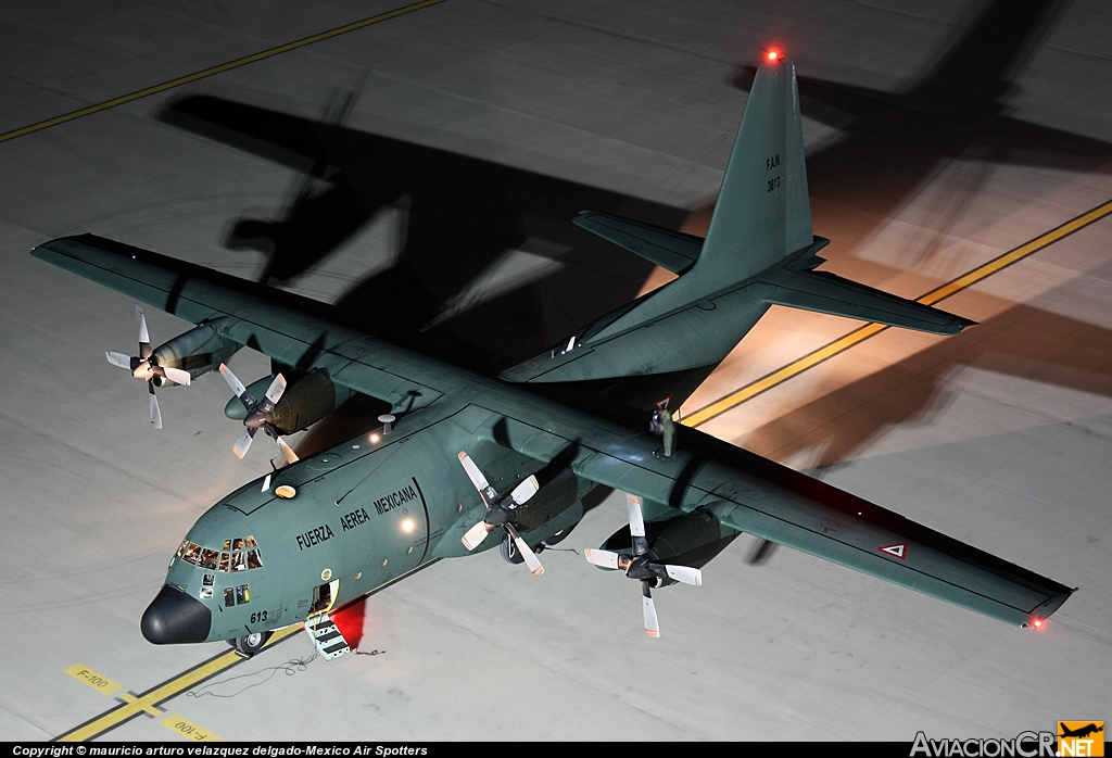3613 - Lockheed C-130E Hercules (L-382) - Fuerza Aerea Mexicana FAM