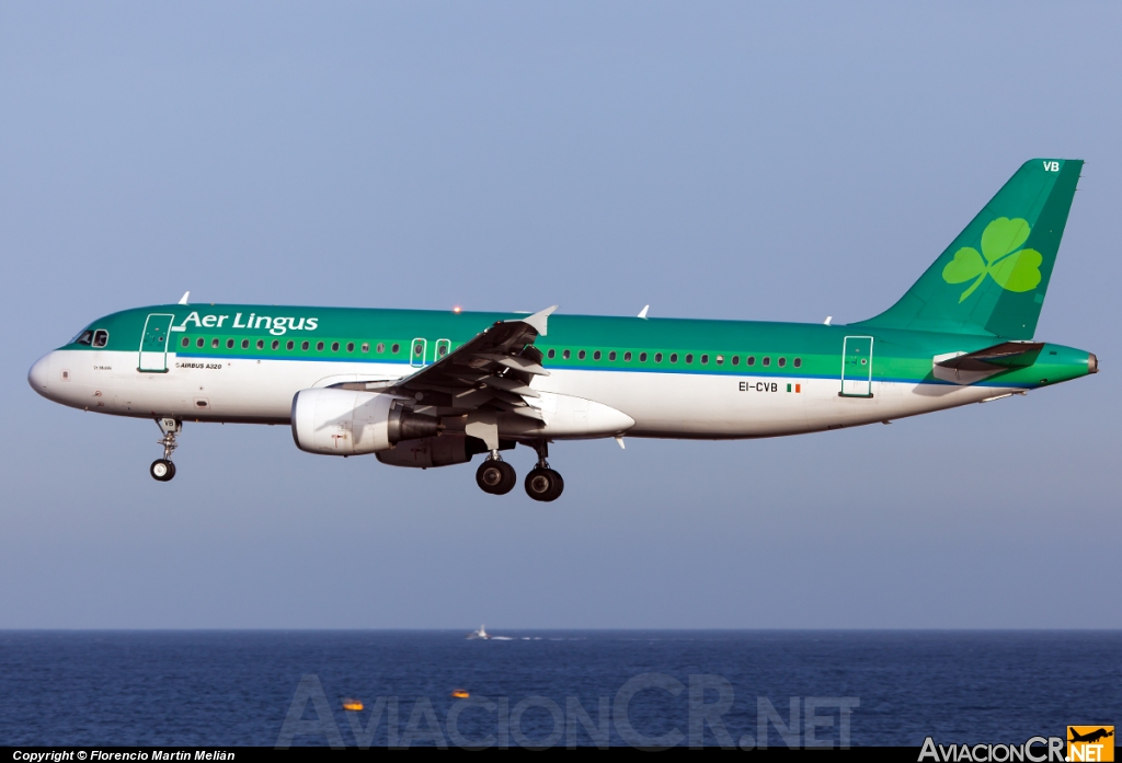 EI-CVB - Airbus A320-214 - Aer Lingus
