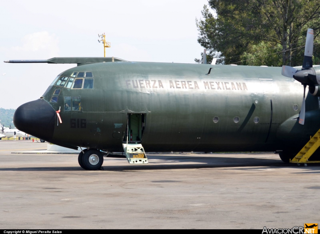 3616 - Lockheed C-130K Hercules (L-382) - Fuerza Aerea Mexicana FAM