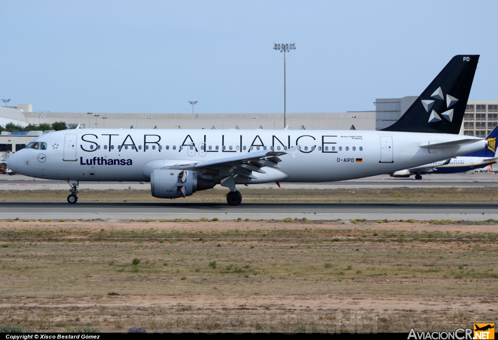 D-AIPD - Airbus A320-211 - Lufthansa