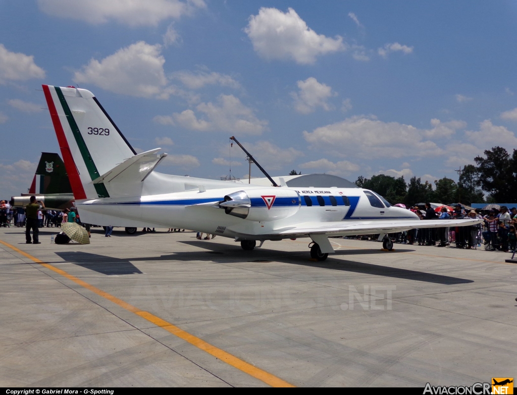 3929 - Cessna 500 Citation - Fuerza Aerea Mexicana