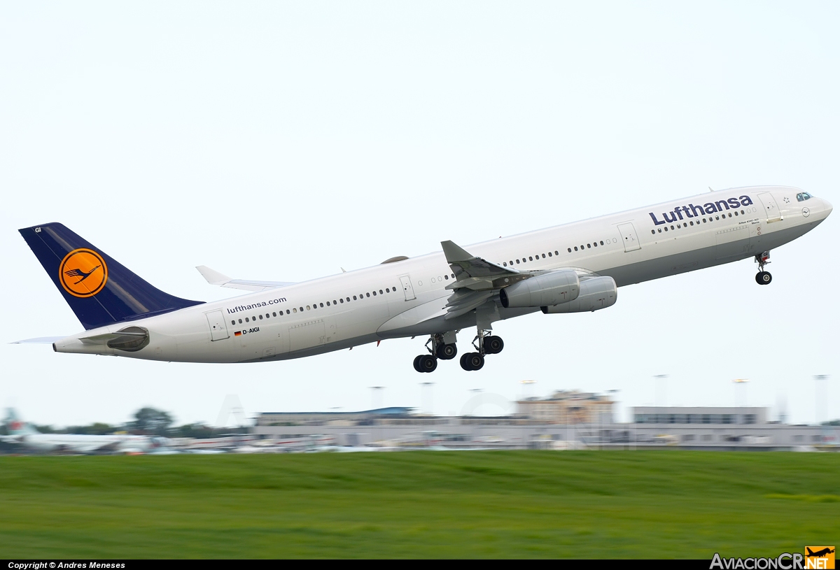 D-AIGI - Airbus A340-311 - Lufthansa