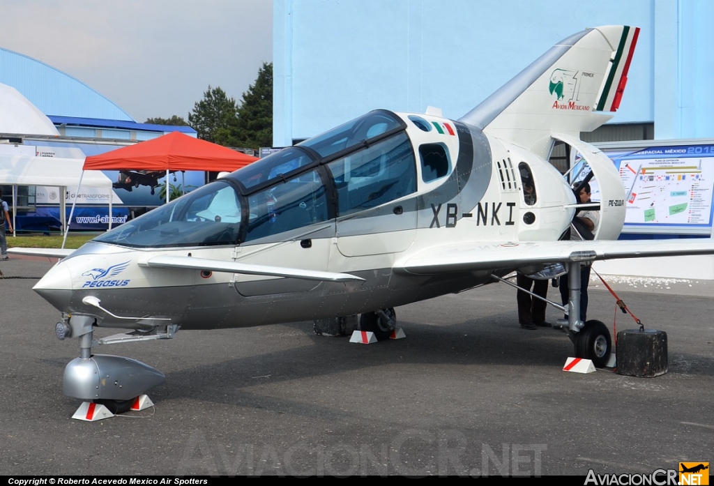 XB-NKI - Pegasus PE-210 A - Oaxaca Aerospace 