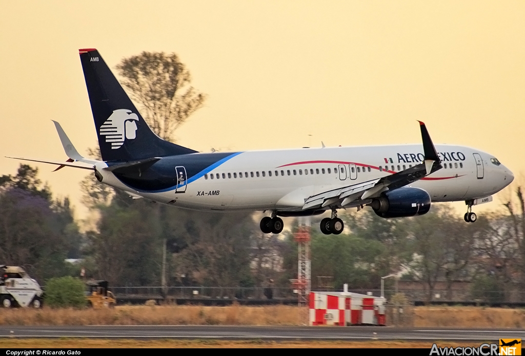 XA-AMB - IBoeing 737-852 - Aeromexico