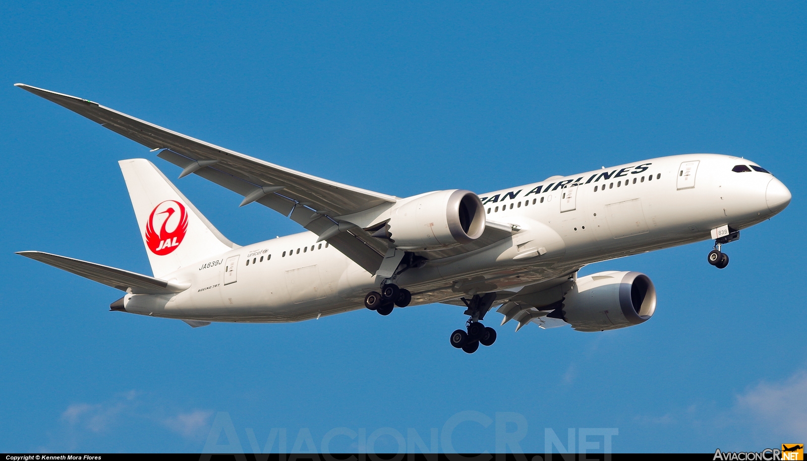 JA839J - Boeing 787-8 Dreamliner - Japan Airlines