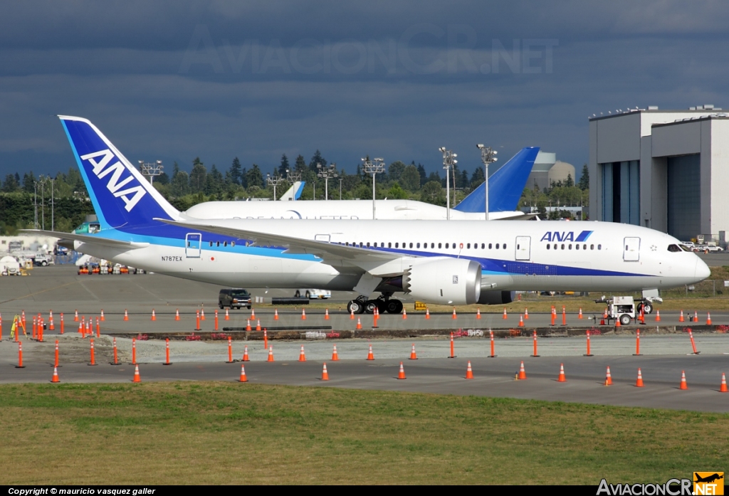 N787EX - Boeing 787-881 Dreamliner - All Nippon Airways (ANA)