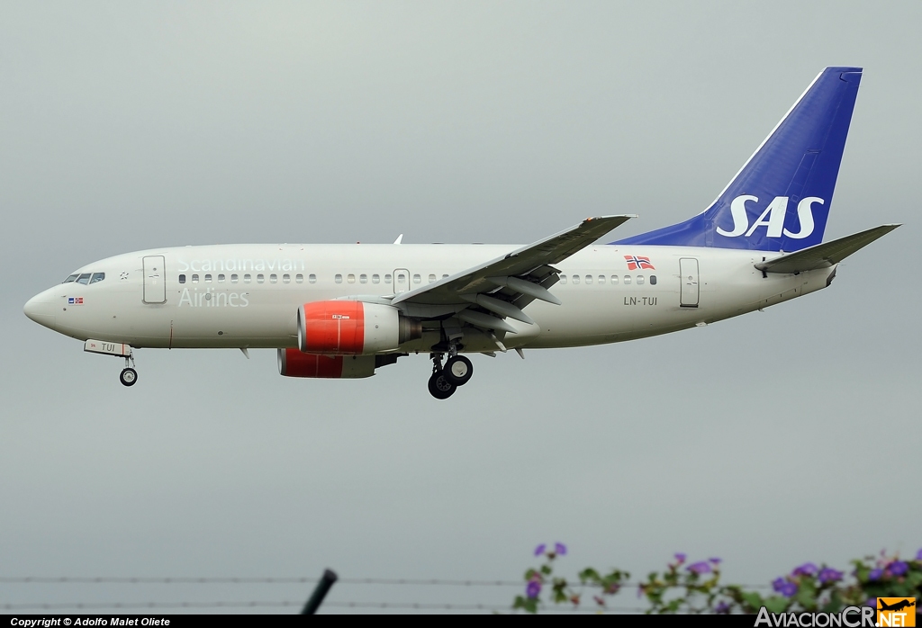 LN-TUI - Boeing 737-705 - Scandinavian Airlines (SAS)