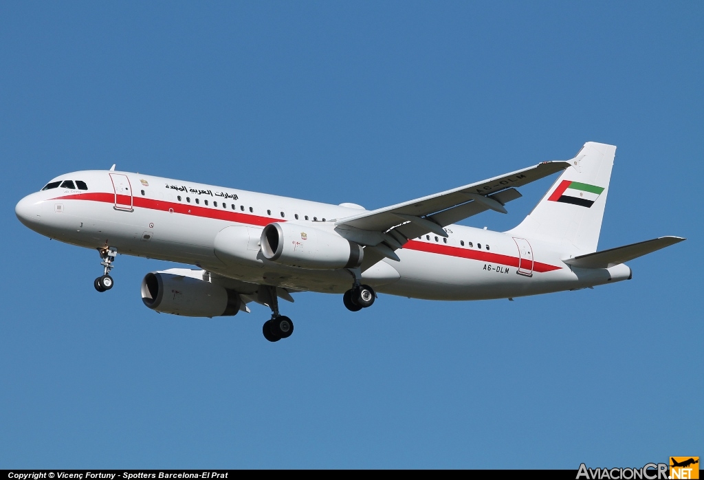 A6-DLM - Airbus A320-232 - Dubai Air Wing